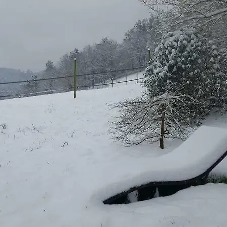 Farm stay Iberreko Errota Muxika